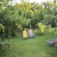 Deckchairs in the garden