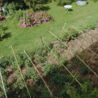 Vue sur le jardin Gîte des Marins